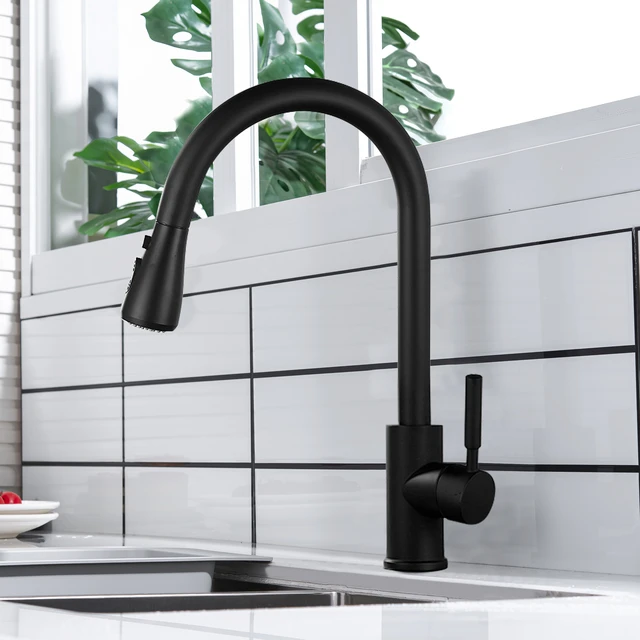black stainless steel kitchen faucet
