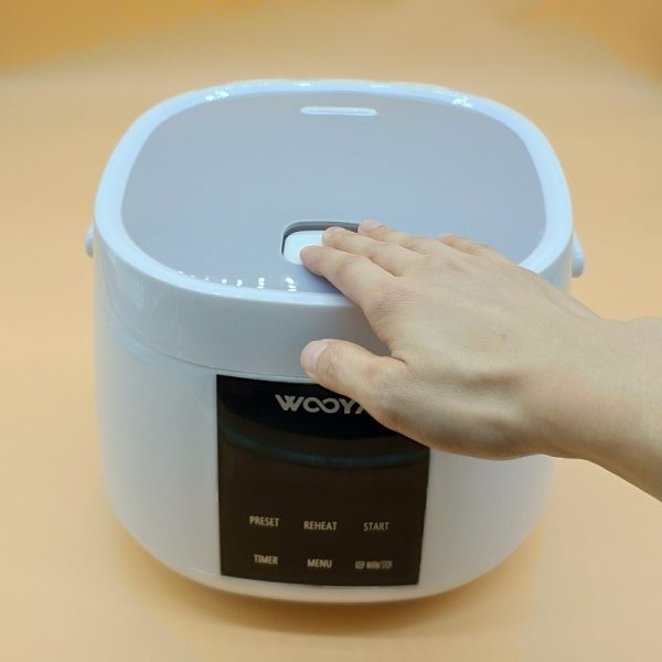 Creative Rice Cooker Recipes in 2024 for Home Chefs