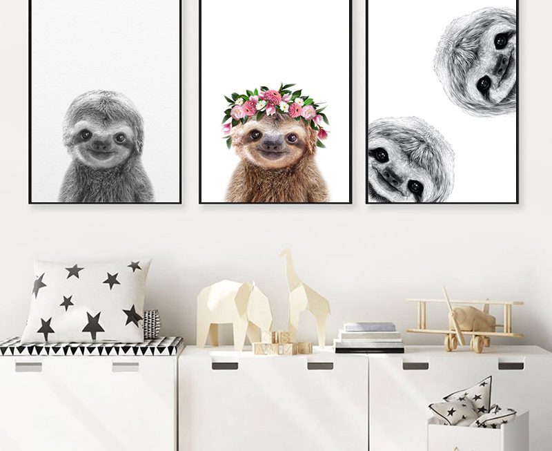 Cute sloth