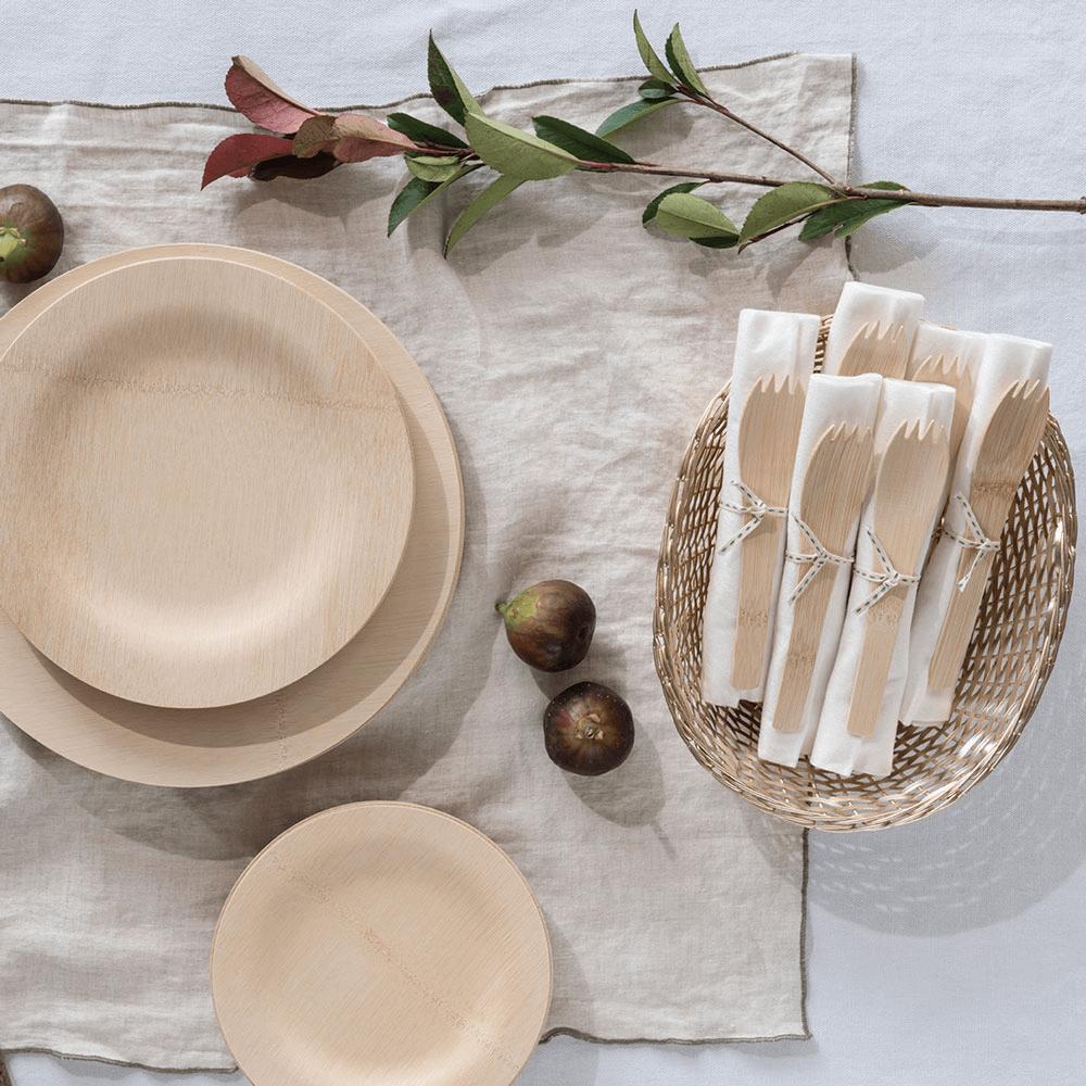 compostable tableware