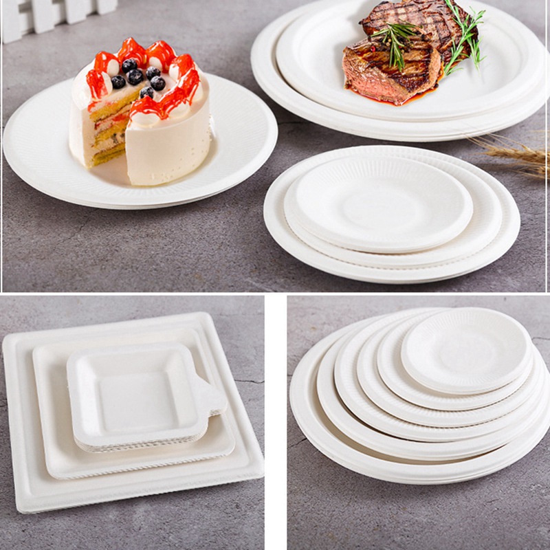 biodegradable tableware